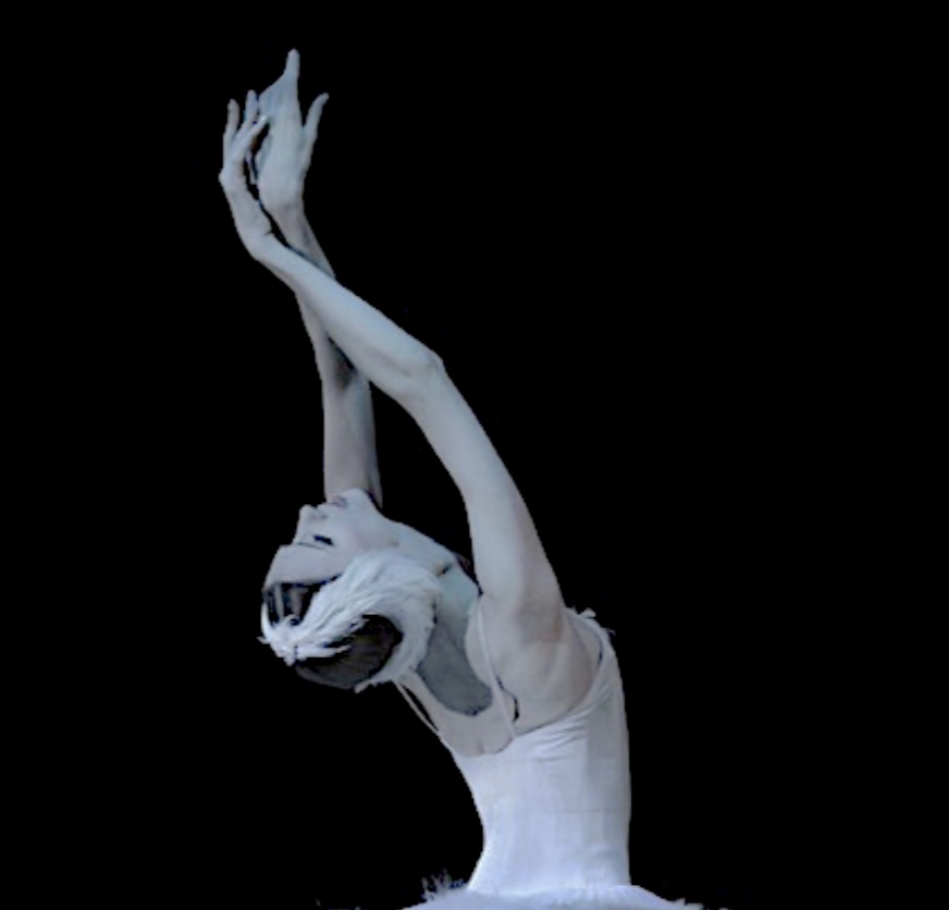 L'élégance de la danse classique